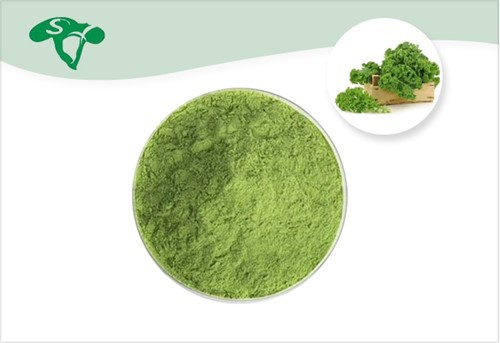 Kale Extract Powder